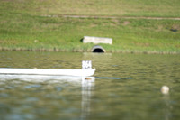Time Trial