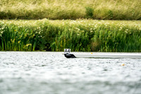 BRIT-MASTERS-DAY1-9812