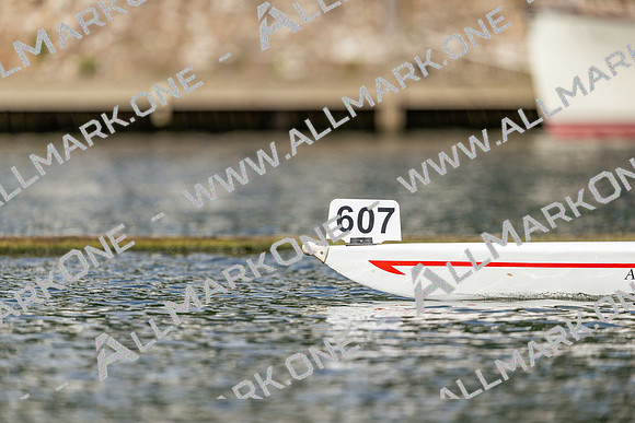 CK209837