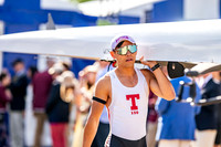 8WL_4337