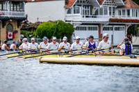 8WL_6184