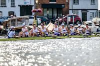 8WL_6464