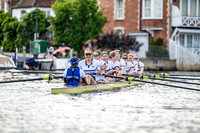 8WL_6494