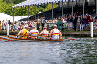 HRF01685