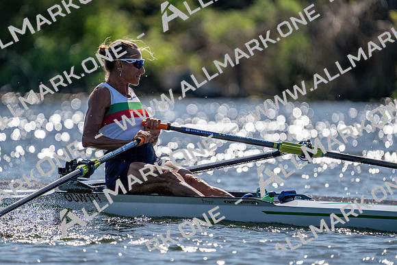 Henley Masters 3-14281