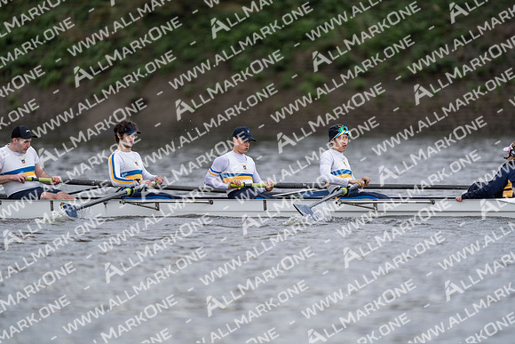 HOR03417