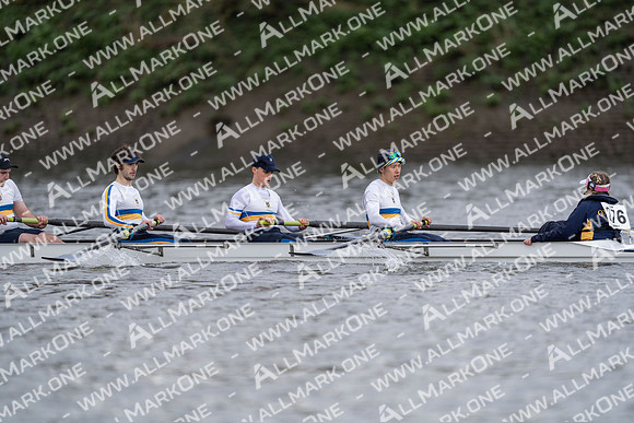 HOR03418