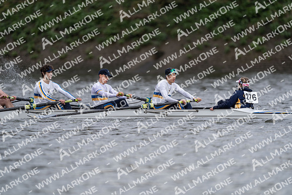 HOR03419