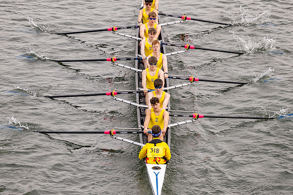HORR8287