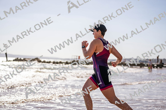 BS601113
