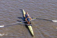 PHRR5429