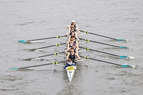 HORR3117