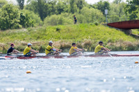 CUP01604