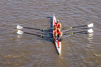 PHRR4252