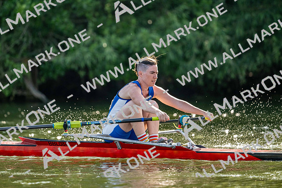 8WL_3327