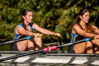 WLD05281