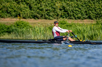 NCM08538