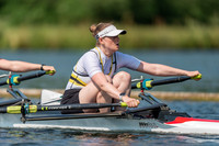 CHW02619