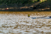 M0103427