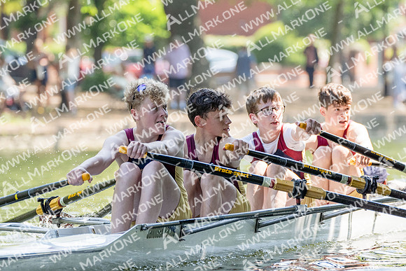SCD00667