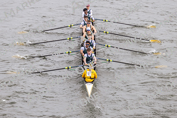 HORR4446
