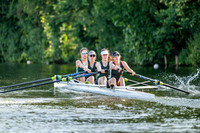 8WL_3831