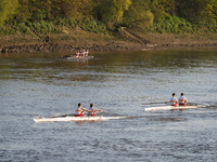 P4240261