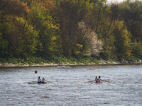 P4241189