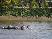 P4241335