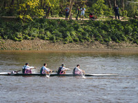 P4241336