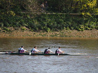 P4241338