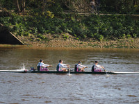 P4241340