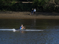 P4241729