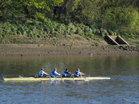 P4242029