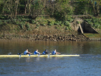 P4242033