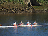 P4240478