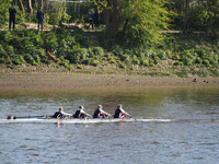 P4241584