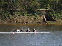 P4241588
