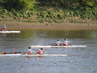 P4241685