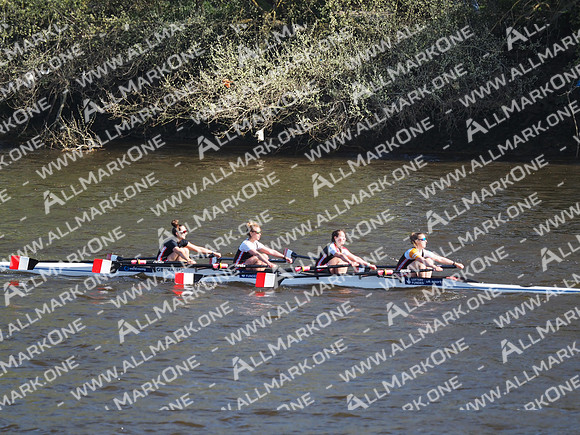 P4241289