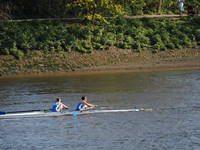 P4241527