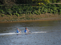 P4241530