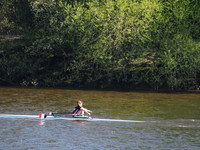 P4241233