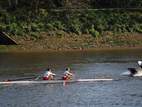 P4241531