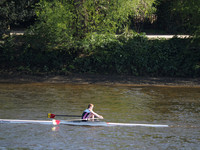P4241237