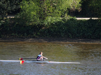 P4241238