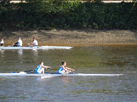 P4241538