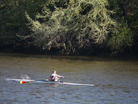 P4241250