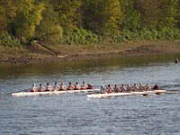 P4240542