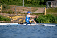 NCM08484